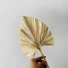 Cargar imagen en el visor de la galería, 5PCS/lot,Dried Natural Palm leaves, DIY Palm Fan Leaf For Art Wall Hanging Wedding Party flowers Decoration
