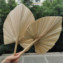 Cargar imagen en el visor de la galería, 5PCS/lot,Dried Natural Palm leaves, DIY Palm Fan Leaf For Art Wall Hanging Wedding Party flowers Decoration
