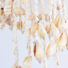 Cargar imagen en el visor de la galería, Conch Sea Shell Wind Chime Hanging Decoration Creative Pendant Stylish Decor
