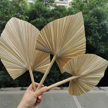 Cargar imagen en el visor de la galería, 5PCS/lot,Dried Natural Palm leaves, DIY Palm Fan Leaf For Art Wall Hanging Wedding Party flowers Decoration
