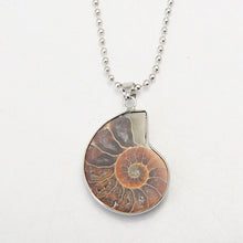 Load image into Gallery viewer, 10Pcs Natural Stone Ammonite Fossils Seashell Snail Pendants Ocean Conch Necklaces Statement Jewelry
