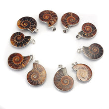 Load image into Gallery viewer, 10Pcs Natural Stone Ammonite Fossils Seashell Snail Pendants Ocean Conch Necklaces Statement Jewelry
