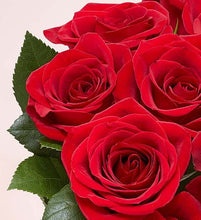 Cargar imagen en el visor de la galería, 1-800-Flowers Two Dozen Red Roses with Red Vase
